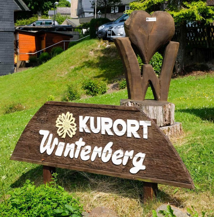 StayCozy Bike&Ski Apartments, free WIFI, Netflix, Erdgeschoss Winterberg Exterior foto